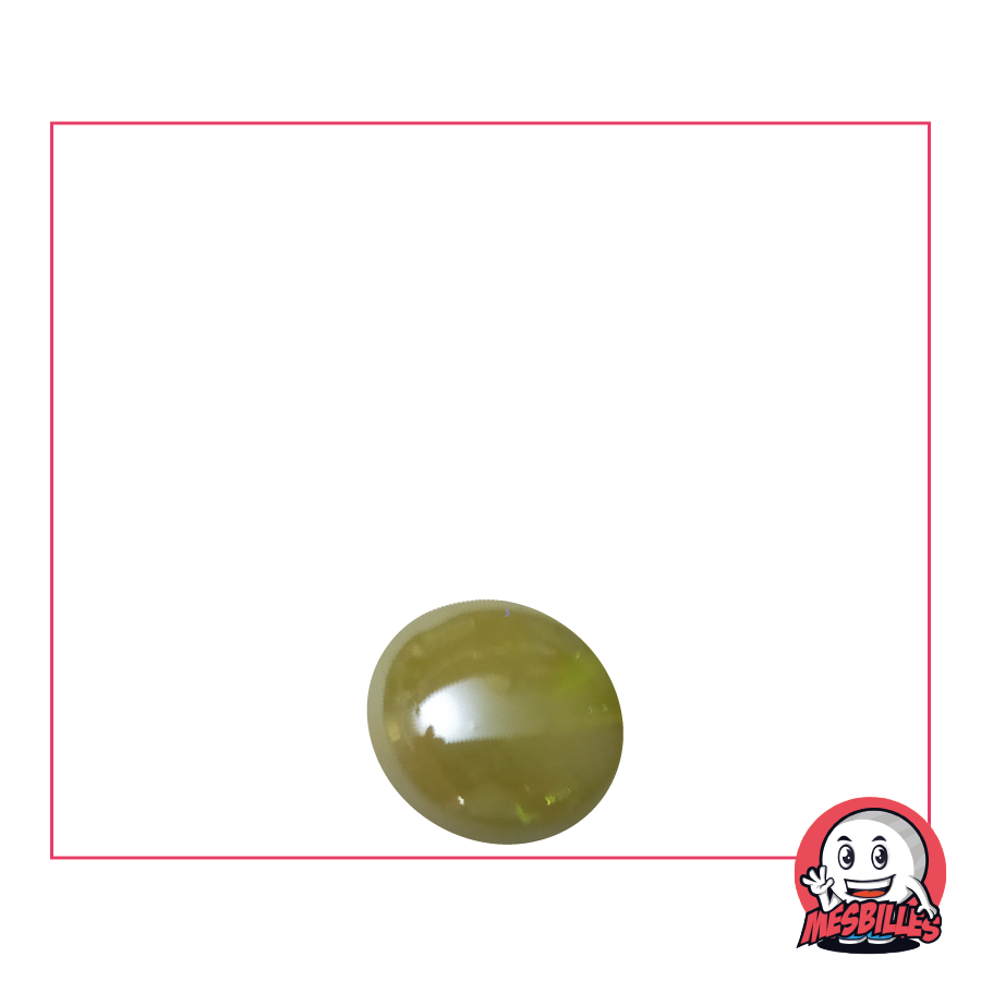 1 Flat Marble 12 mm Glossy Beige